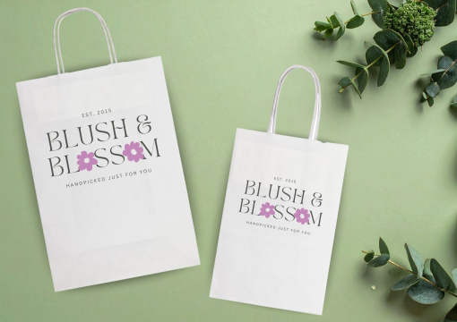 Paper carrier bags with twisted handles | Bestbuyenvelopes.ie