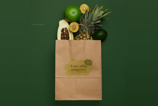 Paper carrier bags with twisted handles | Bestbuyenvelopes.ie