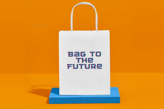 Paper carrier bags with twisted handles | Bestbuyenvelopes.ie