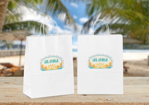 Paper carrier bags with twisted handles | Bestbuyenvelopes.ie