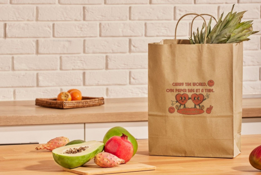 Paper carrier bags with twisted handles | Bestbuyenvelopes.ie