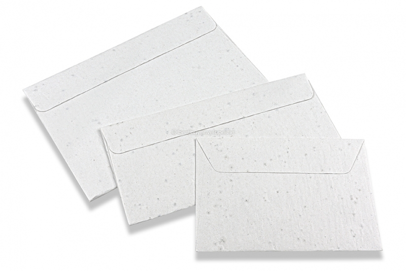 Seed paper envelopes 